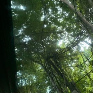 Meet your Posher, Janet